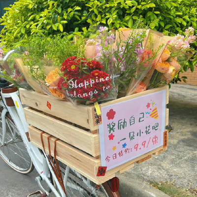 宠物知识公众号